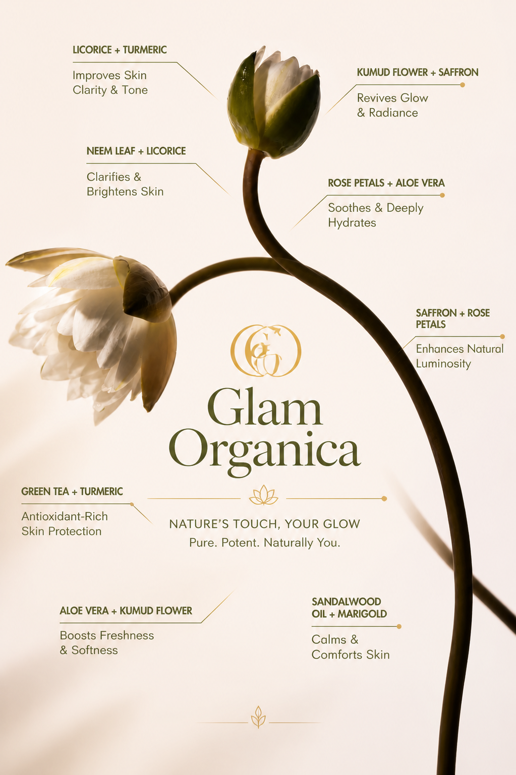 From Argan Oil to Kumkumadi: The Ingredient Stories Behind Every Glam Organica Product