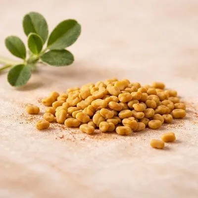 Fenugreek